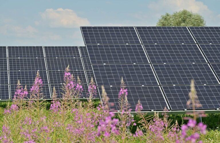 Lee más sobre el artículo Falsos mitos sobre la energía fotovoltaica