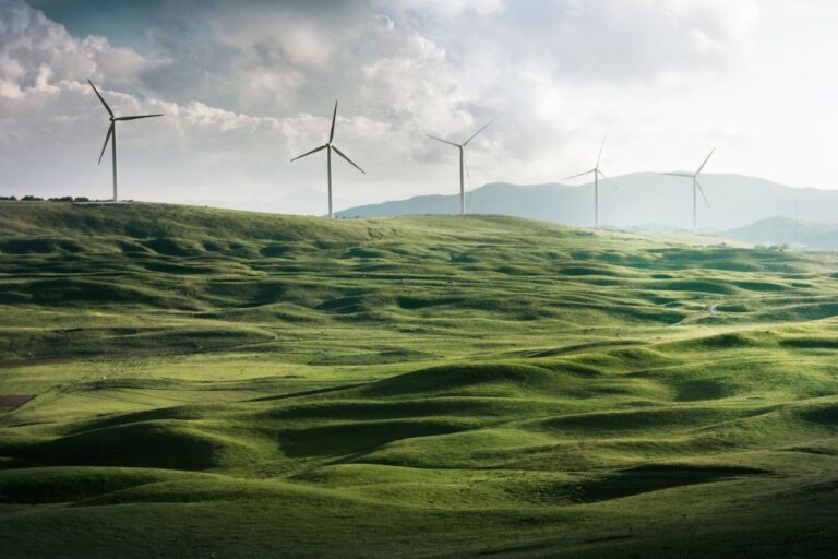 Lee más sobre el artículo Cuando la agricultura y las renovables se unen: energía agrovoltaica